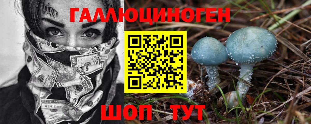 Псилоцибиновые грибы Magic Shrooms  Псилоцибиновые грибы GOLDEN TEACHER  Вход с VPN  Урус-Мартан 